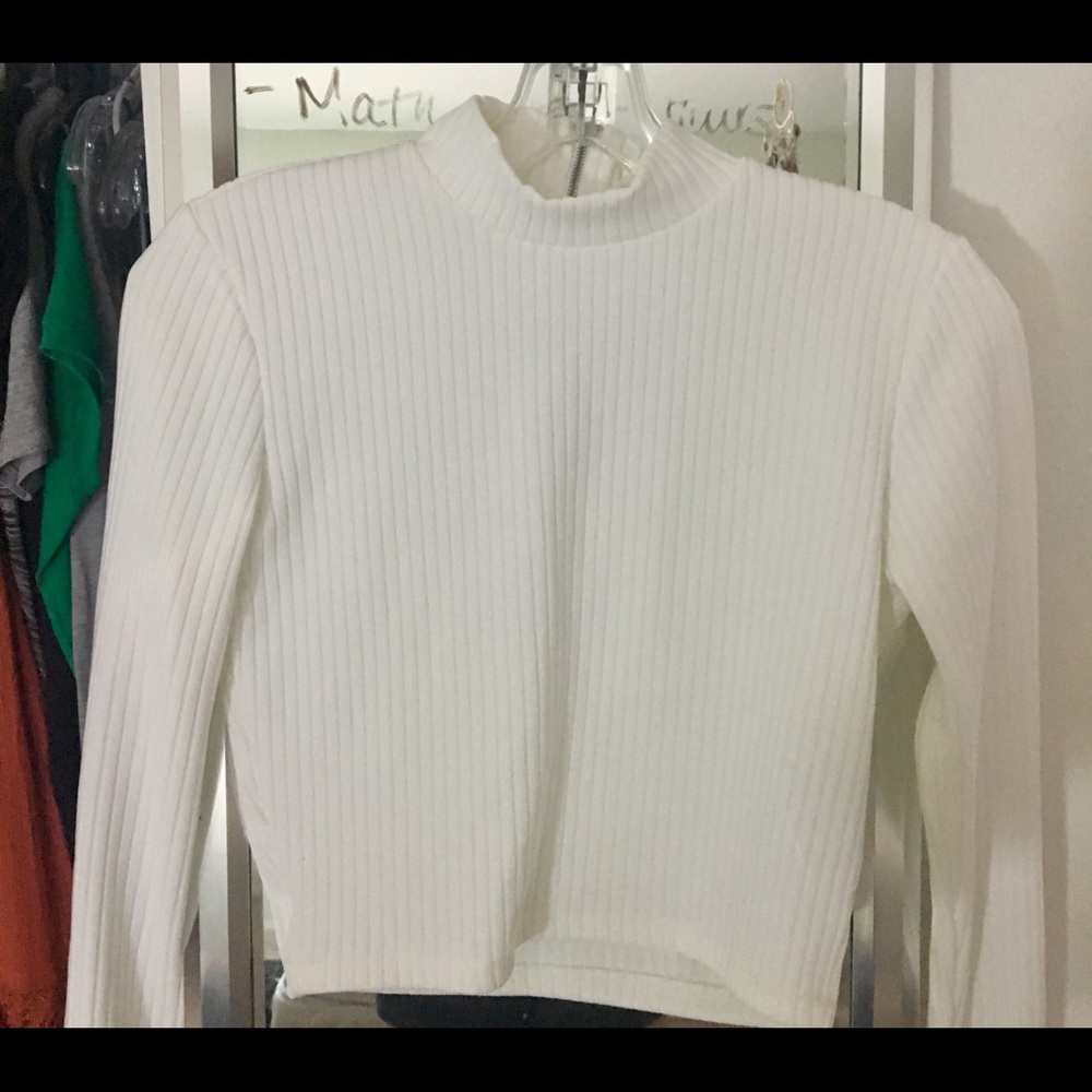 White cropped long sleeve turtle neck